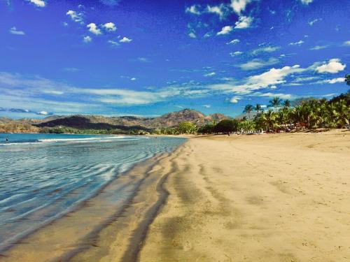 a sandy beach with palm trees and the ocean at Valle Dorado 9 in Coco