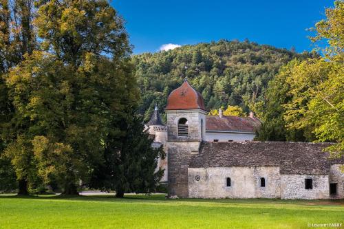 an old church in the middle of a field with trees at Château de Maillat in Maillat