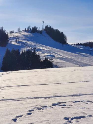 a snow covered slope with trees on a hill at Apartmán 27, Kamzík in Donovaly