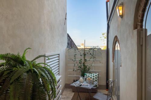 a patio with a table and a potted plant at Beatabb in Guardistallo