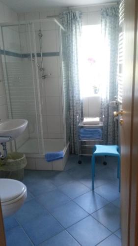 a bathroom with a toilet and a sink at Ferienwohnung Villa Bella Vista in Bad Sachsa