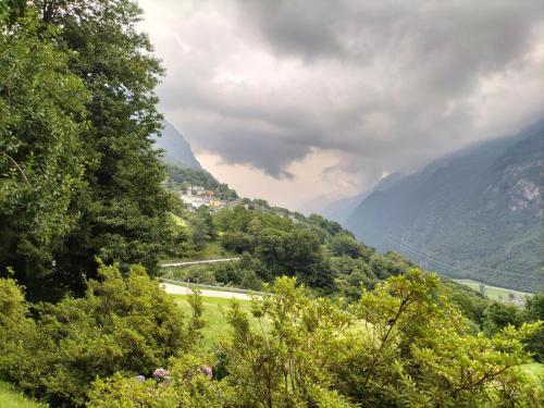 - une vue sur une vallée avec des arbres et une route dans l'établissement Da Erminia, à Verdabbio