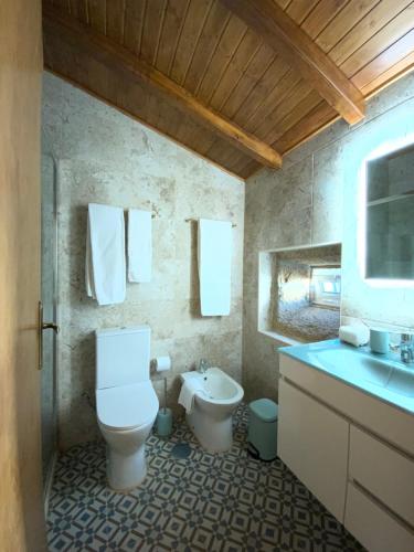 a bathroom with a toilet and a sink at Quinta do Bravio in Barroselas