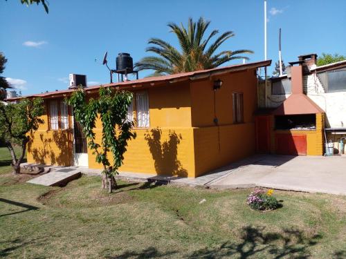 LA PALMERA – Photos 4