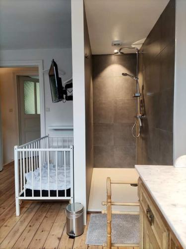 a bathroom with a shower with a crib in it at La Roche ô Tour! - Gîte citadin in La-Roche-en-Ardenne