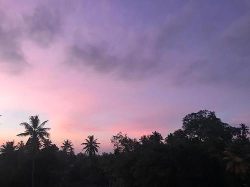 a sunset with palm trees in the foreground at Sunnyplace Guest Mirissa in Mirissa