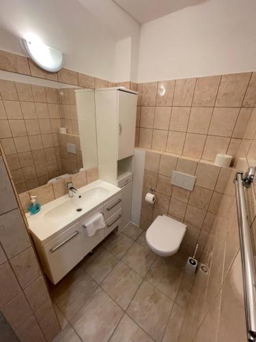 a bathroom with a toilet and a sink and a shower at Chalupa Jáchymov - ubytování v srdci Krušných hor in Jáchymov