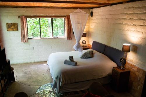 a bedroom with a bed in a room with a window at Yolitia Wellness in Malinalco