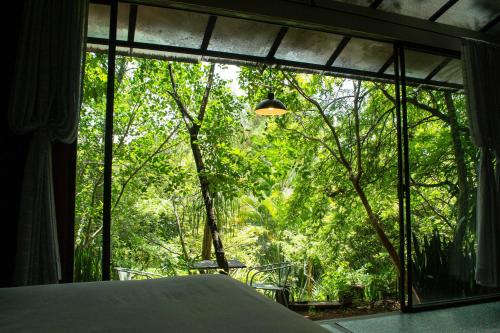 a large window with a view of a forest at Yolitia Wellness in Malinalco