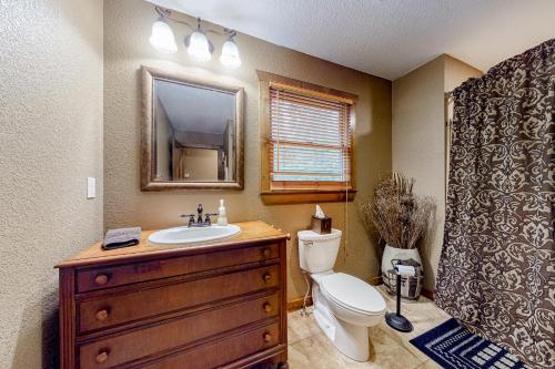 a bathroom with a sink and a toilet and a mirror at Wandering Bear's Den in Ellijay