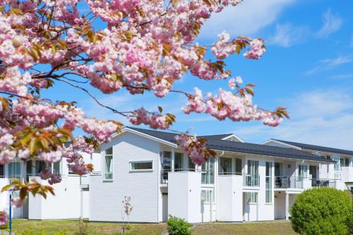 a row of houses with pinkakura trees in the foreground at Havna Tjøme Hotel in Tjøme