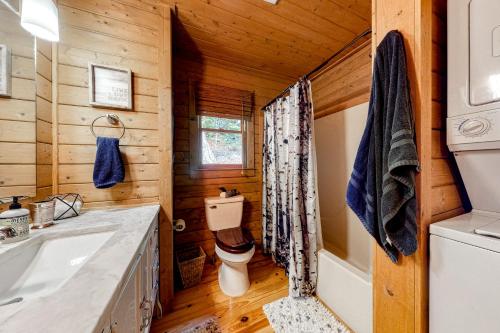 a bathroom with a toilet and a sink at Rushing River in Ellijay