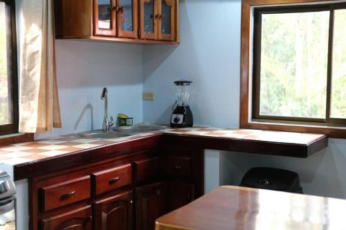 a kitchen with wooden cabinets and a sink and a window at Pool house, Casa Luna in Pavones