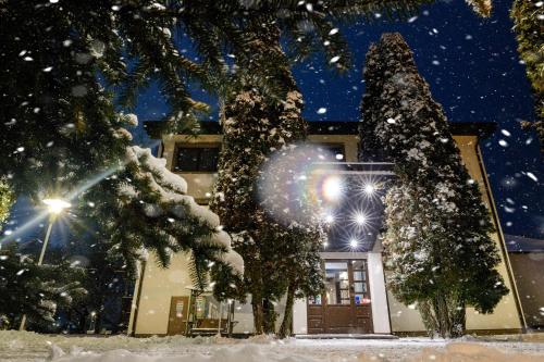 a tree covered in snow in front of a building at Conacul Domnesc in Suceava