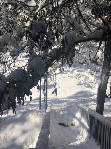 Lakeside Falls Creek durante el invierno