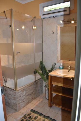 a bathroom with a shower and a sink at Villa Niki in Págoi