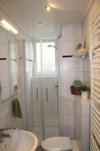 a bathroom with a shower and a toilet and a sink at Feriennest-Huettenberg in Hochelheim