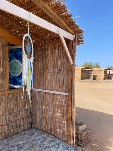 Fotografie z fotogalerie ubytování Alwaha Camp v destinaci Nuweiba