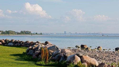 a group of rocks on the shore of a body of water at Rija Old Town Hotel in Tallinn