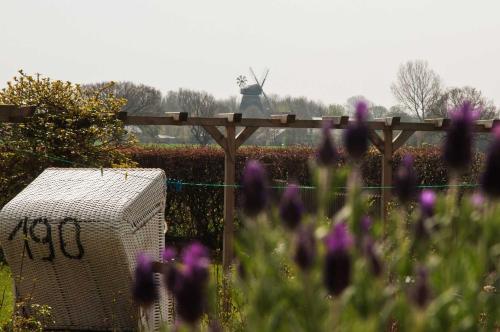 a garden with purple flowers and a fence at Ferienwohnung Muehlenblick in Pommerby