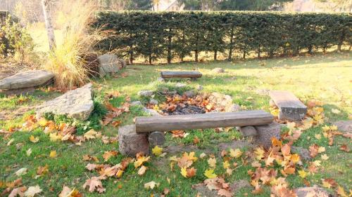 two benches in a field with leaves on the grass at Chatička na Cikánce in Svratka