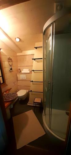 a small bathroom with a toilet and a sink at Domaine de l’Escuderia in Parentis-en-Born