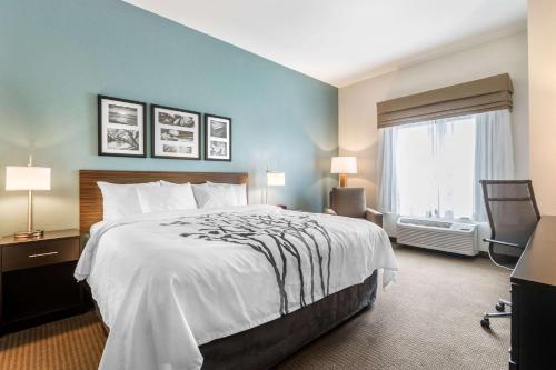 Un dormitorio con una cama grande y una ventana en Sleep Inn & Suites West Des Moines near Jordan Creek, en West Des Moines