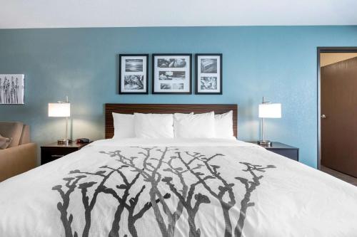Ένα ή περισσότερα κρεβάτια σε δωμάτιο στο Sleep Inn & Suites West Des Moines near Jordan Creek