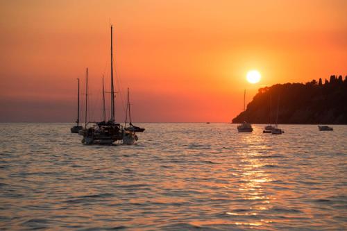 a group of boats in the water at sunset at Debeli Rtič Apartments in Ankaran