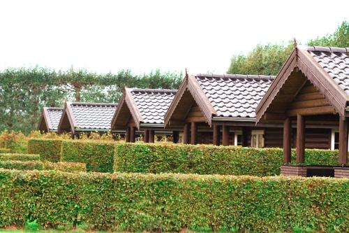 Wijngaard Saalhof – Photos 4