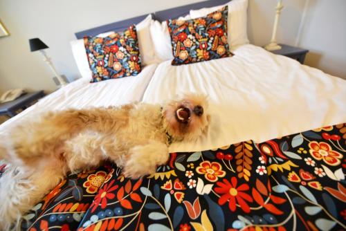 a dog laying on top of a bed at Hotel Svea, BW Signature Collection in Simrishamn