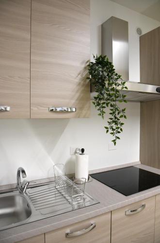 a kitchen with a sink and a potted plant at Dea Igea Apartment in Bellaria-Igea Marina