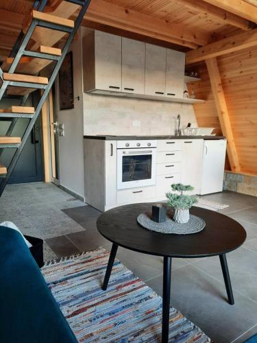 Cuisine ou kitchenette dans l'établissement Cool House and Pool, Banja Vrujci