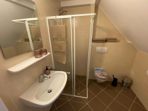 y baño pequeño con lavabo y ducha. en Pension Haus Talblick en Winterberg