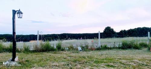 Naturlandskabet i nærheden af lejligheden