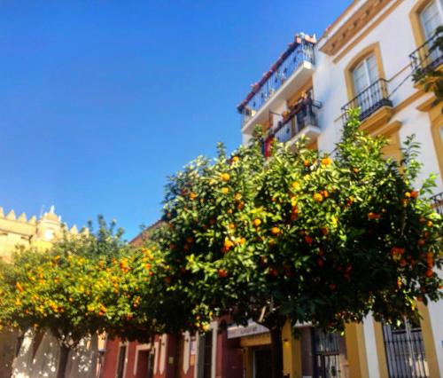 Casa Victoire 1923- terrasses et jacuzzi, Seville – Updated ...