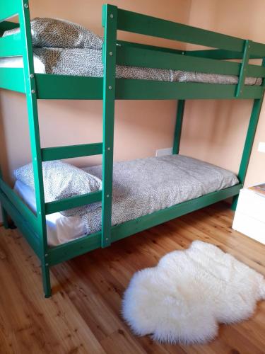 a green bunk bed with a white rug on a wooden floor at Atena in La Spezia