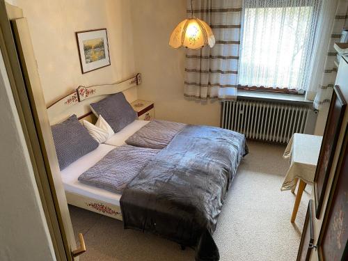 um quarto com uma cama, uma janela e um candeeiro em Bellas Mühlbachtal em Friedenfels