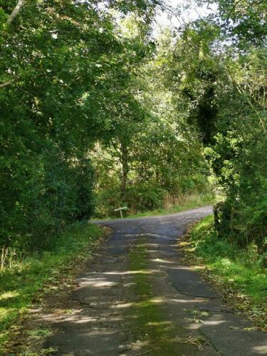 a dirt road with trees on either side at Grosmont Cottage, Ruswarp in Whitby