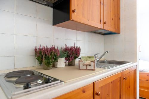 a kitchen counter with a sink and some plants at Residence Monterosa in Macugnaga