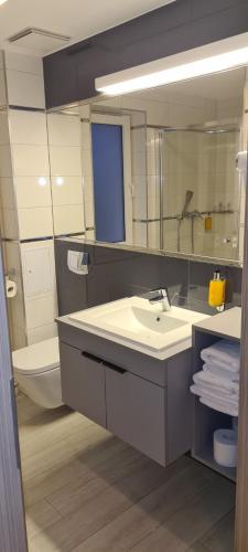 a bathroom with a sink and a toilet and a mirror at Apartament Czarna Góra S6 in Sienna