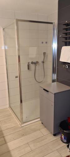 une douche avec une porte vitrée dans une salle de bain dans l'établissement Apartament Czarna Góra Is1, à Sienna