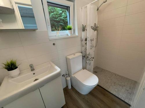 ein Bad mit einem WC, einem Waschbecken und einem Fenster in der Unterkunft ROKO house in Anykščiai