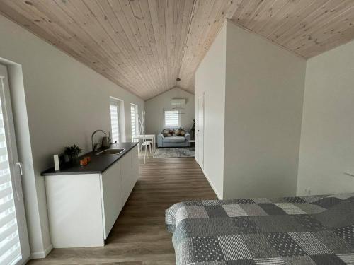Zimmer mit einem Waschbecken und einer Küche mit einem Bett in der Unterkunft ROKO house in Anykščiai