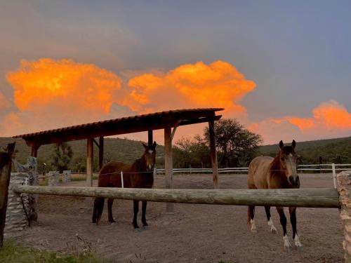 a group of horses standing under a wooden shelter at Armadillo Mágico in Armadillo