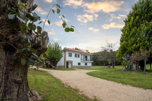 a white house with a tree and a dirt road at Finca Bacelo Ribeira Sacra in Sober