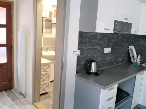 Una cocina o cocineta en Apartmán Natálie v Zaječí