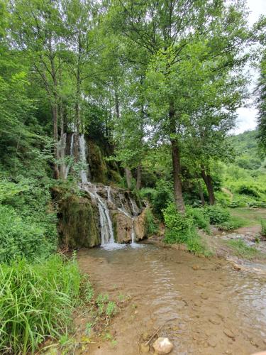a waterfall in the middle of a forest at Zeleni svet 2 in Crni Vrh