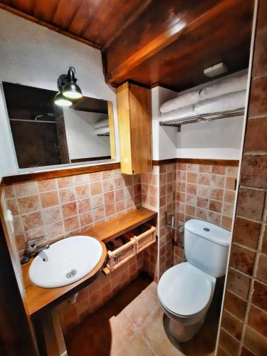 a small bathroom with a toilet and a sink at Apartamento Gerbille in Bourg-Madame