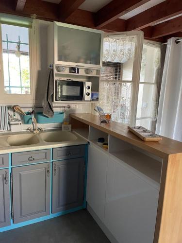 une cuisine avec un évier et un micro-ondes dans l'établissement LES MIMOSAS, à Saint-Trojan-les-Bains